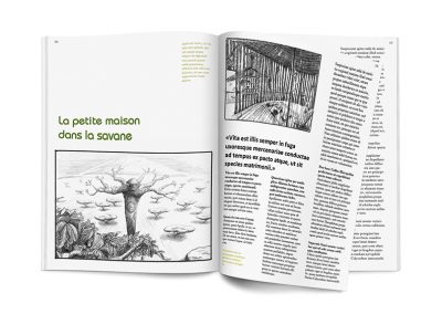 Illustration article